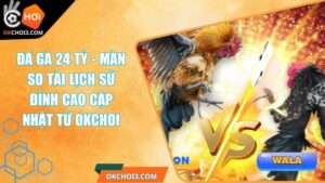 Đá Gà 24 Tỷ - Màn So Tài Lịch Sử Đỉnh Cao Cập Nhật Từ OKCHOI 7 Đá Gà 24 Tỷ - Màn So Tài Lịch Sử Đỉnh Cao Cập Nhật Từ OKCHOI