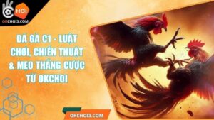 Đá Gà C1 - Luật Chơi, Chiến Thuật & Mẹo Thắng Cược Từ OKCHOI 6 Đá Gà C1 - Luật Chơi, Chiến Thuật & Mẹo Thắng Cược Từ OKCHOI