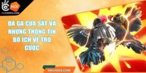 Đá Gà Cựa Sắt Và Những Thông Tin Bổ Ích Về Trò Cược 3 da ga cua sat
