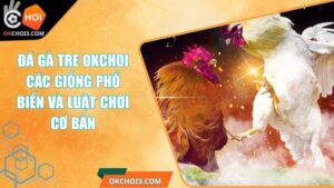 Đá Gà Tre OKCHOI - Các Giống Phổ Biến Và Luật Chơi Cơ Bản 5 Đá Gà Tre OKCHOI - Các Giống Phổ Biến Và Luật Chơi Cơ Bản