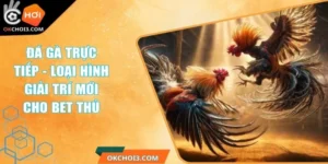 Đá Gà Trực Tiếp - Loại Hình Giải Trí Mới Cho Bet Thủ 4 da ga truc tiep
