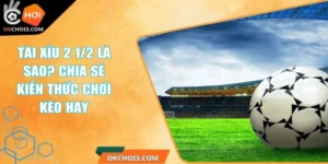 Tài Xỉu 2 1/2 Là Sao? Chia Sẻ Kiến Thức Chơi Kèo Hay 2 tai xiu 2 1 2 la sao