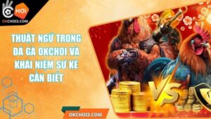 Thuật Ngữ Trong Đá Gà OKCHOI Và Khái Niệm Sư Kê Cần Biết 8 Thuật Ngữ Trong Đá Gà OKCHOI Và Khái Niệm Sư Kê Cần Biết